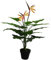 Leaf Grande Plante Artificielle Oiseau du Paradis 70 cm