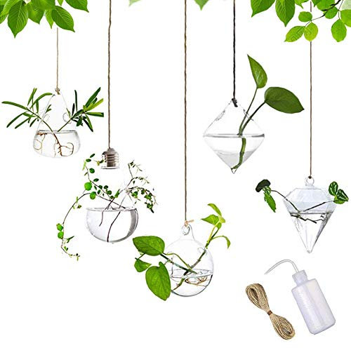 MIRACLE BLACK Hydrokultur-Vase, zum Aufhängen, Glas, Terrarium, Blumentöpfe, Heim-/Gartendekoration, mit Bewässerungsflasche, 5 Stück