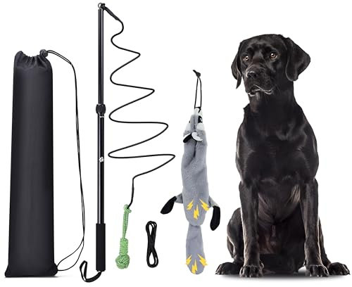 KOXXUD Reizangel Hunde, Profi Reizangel für Kleine, Mittelgroßer, Große Hunde, Martin Rütter für Ultimativen Spielspaß & Körperliche Auslastung (Seilbälle + Biber)