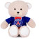 PSG - Peluche Mascotte Ours - 23 cm - Licence Officielle Paris Saint-Germain - Maillot Amovible Paris avec Bandes Hechter - Ours Peluche très Doux - Souvenir PSG pour Enfants & Fan Foot - DC4268