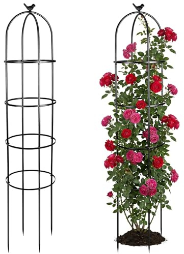 2 Pcs Metal Garden Obelisk Trellis for Climbing Plants Outdoor, 6 Ft Steel Indoor Potted Flower Support Trellises for Rose Bush Clematis Vine Jasmine Fruits Vegetable Floral Arch Decor (Bird)