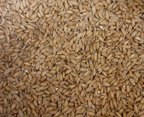 Kiloware Spelt grains, spelt, z. Refill v. Spelt pillow oder Heating pads - 5kg