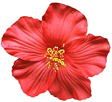 Barrette fleur de Hibiscus barrette fleurs Barrette Fleur Artificielle Pinces à Cheveux Mousse Accessoires De Cheveux pour Mariage Coiffure De Plage (rouge)