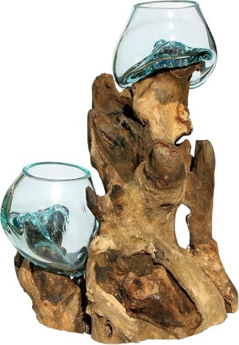 Wogeka - Doppel Glas-Vase auf Wurzel-Holz Gamal - B-Ware - Ø Glas 10-11 cm im modernen Style aus Holz als Geschenk-Idee zu Weihnachten Geburtstag Dekoration Do10L