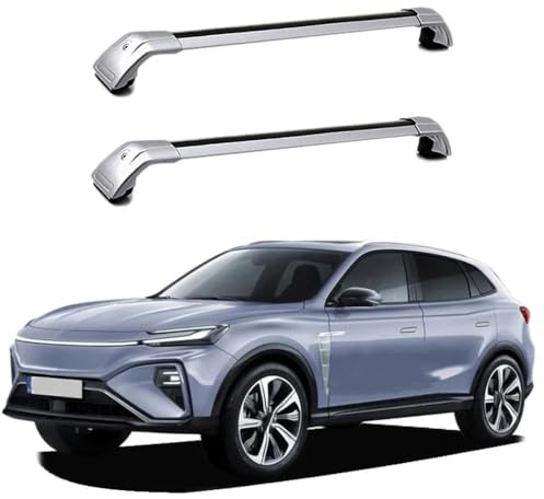 INRNT Auto Dachträger für MG Marvel R/MG Marvel Performance 2021+,Auto Gepäckträger Fahrradträger Dachboxen Skihalter Anti-Rost Dachgepäckträger,B