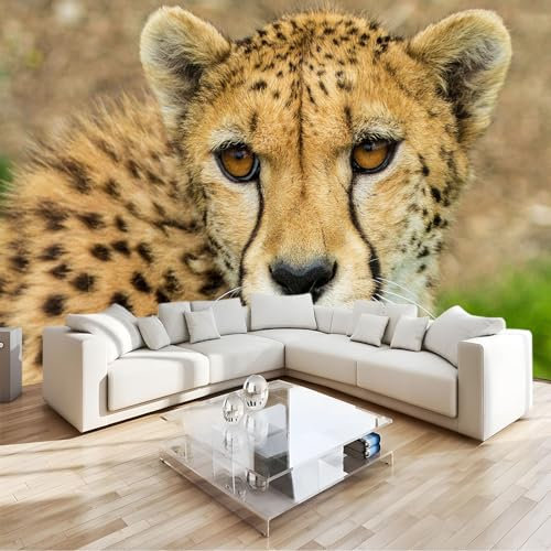 Fototapete Kinderzimmer Wandtapete tierischer brauner Gepard Tapete 250 x 175 cm Vliestapete Wandbild 3D Art Effekt Moderne Wanddeko Schlafzimmer Büro Flur