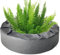 DAWCBVJQ 33cm Schwimminsel Teich Rund Treibende Pflanzinsel Schwimmende Blumeninsel Schwimmender Pflanzkorb Teich Stoff Schwimmend Wassergartenpond Pflanzer Aquatische Blumeninsel Zur Gartendekoration