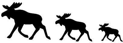 Elch Aufkleber 50x15cm oder 30x10cm Wohnmobil Caravan Wohnwagen (73) (50cm länge, dunkelgrau matt)