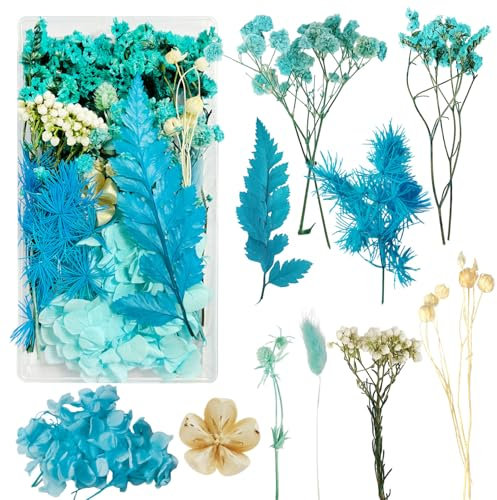 Fleurs Séchées Fleur Sechees Decoration Fleurs Sechees Naturelles Fleurs Sechees Vraies Fleurs Pressées Séchées et de Feuilles Séchées Naturelles pour la Décoration de Bricolage (Bleu)