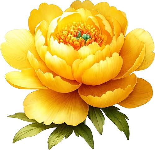 x4 Yellow Peony Flower Vinyl Stickers, Vibrant Blackout Waterproof Decals, Multi Purpose 1@ 20cm Tall Ideal for Toilets car or Laptop. 3@ 7cm Tall Ideal for Phone, Cups & Mugs (Yellow Single)