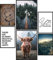 Papierschmiede® Mood Poster Set Wildnis, Bilder Wohnzimmer Deko Schlafzimmer, 2x DIN A4 und 4x DIN A5, Galloway Rind Hochland Natur Wald Holz Grün - Wandposter ohne Rahmen
