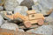 EDUPLAY Holzbausatz Radlader