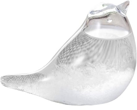 Dorccsi Sturmglas Wettervorhersage Kristall Wettervorhersage Flasche Wettervorhersager Sturmglas Sturmbarometer Wetterglas Tischplatte Vogel Dekor Barometer Glas Mini Handwerk Windspiele Windspiele