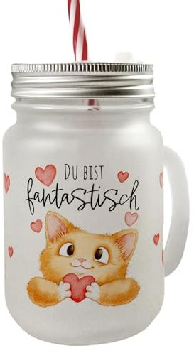 speecheese Orange Katze Mason Jar Henkel Trinkglas mit Deckel mit Spruch Du bist fantastisch ein niedliches Glas für dein Lieblingsgetränk Motiv süße Haustier fantastisch Frauen Geburtstag