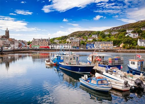 Tarbert Harbour Jigsaw Puzzles for Adults 1000 Jigsaws Tarbet Fishing Town 1000 Piece Jigsaw Puzzles for Adults