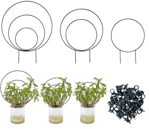 DELORIGIN 3 Stile Rundes Rankhilfe für Zimmerpflanzen Garten Pflanzenstütze Metall Spalier Kleine Spalierbögen Für Zimmerpflanzen Mit Stützklammern Mit 20 Clips Für Kletterpflanzen Monstera