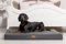 tierlando® Oscar VIP Ortho Hundematratze Kunstleder Velours Orthopädisches Hundebett VISCO Größe: OS4 100cm | Farbe: AL-02 Graphit