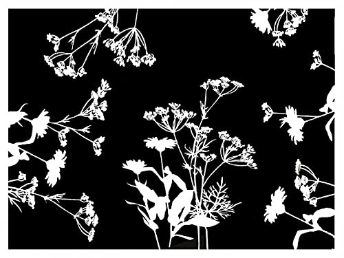 Cogir - Ref 314326I - Pro Nappe Food Safe Contact Disposable Patterned Placemats (Pack of 500) - 30 x 40cm in Size, Aesthetic Embossed Satin Texture Finish - Garden Pattern