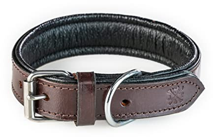 Hundehalsband aus Leder – sehr Robustes & Elegantes & Doppellagiges Lederhalsband aus Echt-Leder – Hunde Halsband Eduard (S (25-34cm))