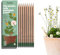 SproutWorld Pencils | Spread the Love Edition | Graphite Bleistifte mit Blumen-, Kräuter- und Gemüsesamen | Eco-Friendly Organic Holz| Nachhaltiges Geschenk mit herzerwärmenden Zitaten | 8er Pack