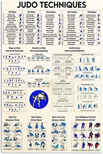 Metall-Blechschilder zum Lernen von Judo-Kenntnissen, Vintage-Stil, Judo-Fitness-Dekoration, Judo-Techniken, pädagogisch, inspirierend, Retro-Poster, Büro, Fitnessstudio, Dekoration, Wandkunst, Deko