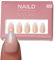 NAILD Softgel Press On Nails Almond, Milkshake – Fingernägel zum Aufkleben in Studioqualität – Wiederverwendbare künstliche Fingernägel – inkl. Nagelkleber, Feile & Zubehör