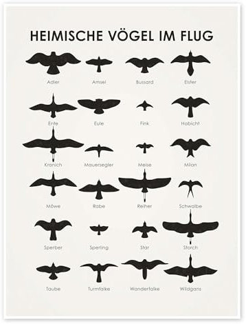 Heimische Vögel im Flug Poster von Iris Luckhaus 13 x 18 cm Schwarz-Weiß Wandbilder Wanddeko