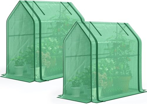 Quictent Mini Greenhouse, Portable Quick-Setup Small Tabletop Waterproof UV Protected PE Cover Shelter for Outdoors/Indoors W/ Raised Base for Garden Plant Seed Starting, 2 Packs, 36x18x33, Green