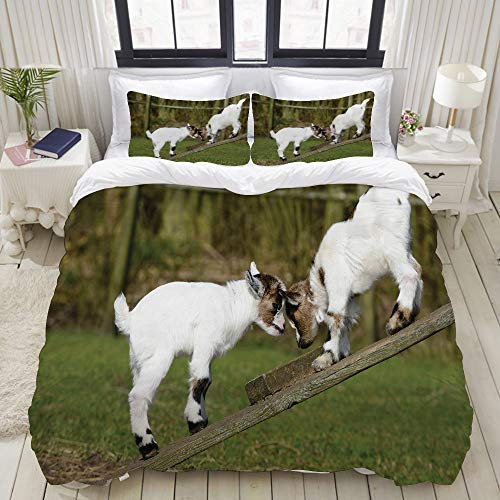 PENGTU Bedding Bettwäsche-Set,Zwei Nette kleine Baby-Ziegen auf Einer Bank mit ihrem Hörner-Bild-Bild Design,Mikrofaser Bettbezug und Kissenbezug - (135 x 200 cm)