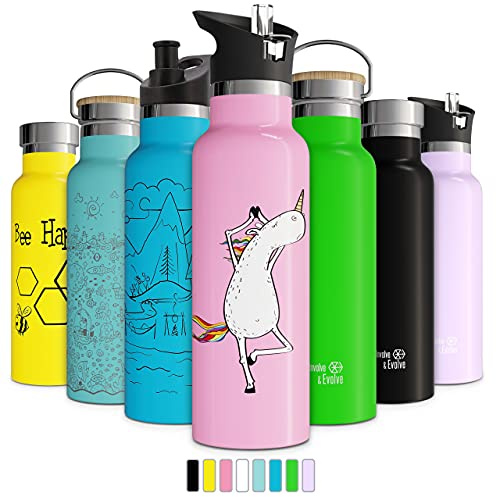 Double Insulated Water Bottle with Straw Lid & Sports Cap | Stainless Steel BPA Free Eco Friendly Non Sweat Durable Finish 500ml / 600ml / 750ml Metal Hydro Thermos (600 ml, Ocean)