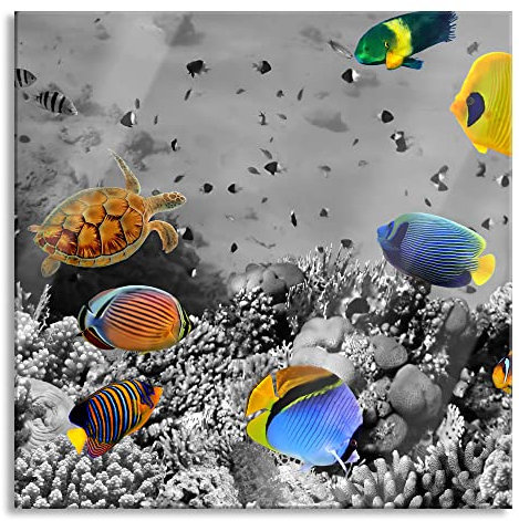 Pixxprint Glasbild, Wandbild auf Echtglas, Fische im Korallenriff, 80x80 cm, inkl. Aufhängung und Abstandshalter
