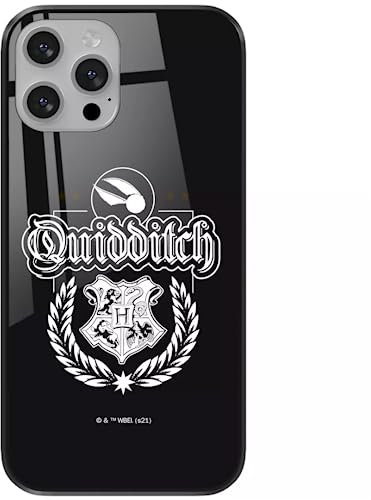 Ert Group Original Harry Potter Original Licensed Harry Potter 047 Tempered Glass Phone Case for Apple Iphone 13