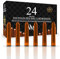 Wordsworth & Black 24 Pack Fountain Pen Ink Refills - Set of 24 Orange Ink Cartridges - International Standard Size - Length APPR 2.3 - Base Diameter APPR 0.24 - Disposable and Generic