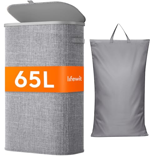 Lifewit Schmal Wäschekorb mit Deckel, 65L Wäschesammler mit Kunststoffrahmen, faltbarer großer Wäschesortierer, Wäschebox Laundry Baskets für Schlafzimmer, Bad, Grau