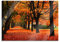 Pixxprint Glasbild, Wandbild aus Echtglas, Baumallee im Herbst, 60x40 cm, inkl. Aufhängung und Abstandshalter