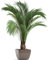 Autocollants Muraux D'art En Pot De Plantes Vertes De Simulation, Autocollant Mural De Plante Verte 3d, Autocollant Mural De Fleur De Plante De Vase Pour Décoration De Bureau De Salon De Chambre À