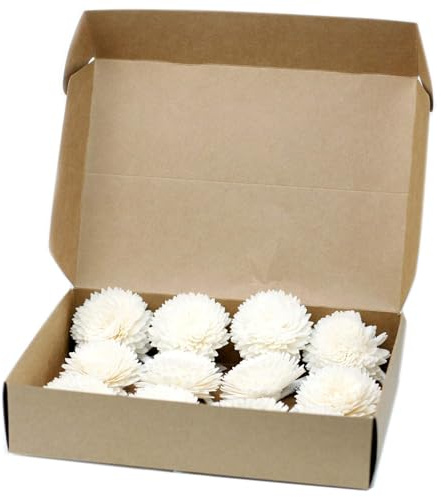 12 x Natural Diffuser Flowers - Lrg Carnation on String