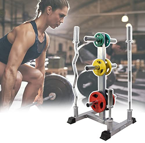 Fitness Olympic Weight Tree for 5cm(2)/2.5cm(1) Barbell Plates, Multifunctional Vertical Weight Plate Rack Holder, for Home Apartment Gym (Size : 2.5cm(1inch) Plate Rack)