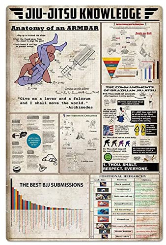 Jiu-Jitsu-Wissen, Metallschilder, Vintage-Stil, Kampfkunst, Hallenwanddekoration, Anatomie einer Armstange, Blechposter, Jiu-Jitsu-Grundlagen, Infografik-Plakette für Zuhause, Zimmer, 20,3 x 30,5 cm
