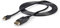 StarTech 10FT Mini DisplayPort Male To DisplayPort Câble