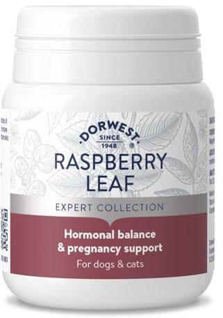 Dorwest Raspberry Leaf Tablets for Dogs And Cats, 100 Tablets, Pregnancy Support For Pets – For Natural Hormonal Balance and Phantom Pregnancies