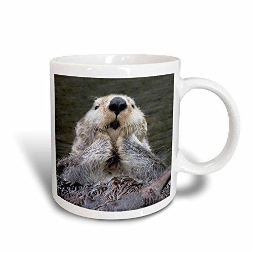 3dRose Mug 45621 3 Loutre de mer (Plan) avec Son Paws Hors de l'eau Les Garder au Chaud (Enhydra Lutris) Magic transformant Mug, 311,8 Gram