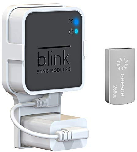 256GB Blink USB Flash Drive for Local Video Storage with The Blink Sync Module 2 Mount (Blink Add-On Sync Module 2 is NOT Included)