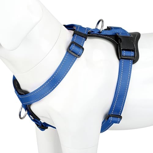 Plutus Pet No Pull Dog Harness with Leather Accents, Adjustable Reflective | Heavy Duty Nylon Pet Vest, for Training and Hiking, Front Clip, Easy Walk for Small Medium Large Dogs, Royal Blue, L