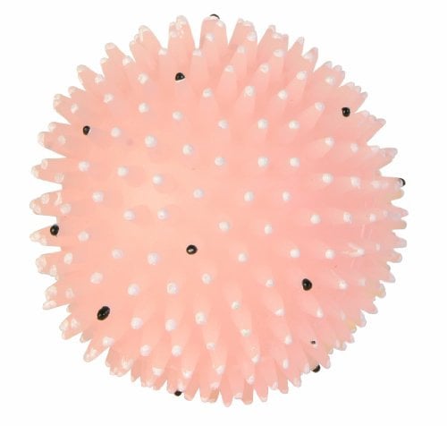 Trixie Noppenball, 10 cm Durchmesser, 3 Stück