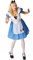 Rubie's Official Disney Alice in Wonderland Alice Classic Ladies Costume, Adult Fancy Dress - Small