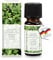 pajoma® Duftöl 10 ml, Weißer Tee & Ingwer | feinste Parfümöle für Aromatherapie, Duftlampe, Aroma Diffuser, Massage, Naturkosmetik | Premium Qualität