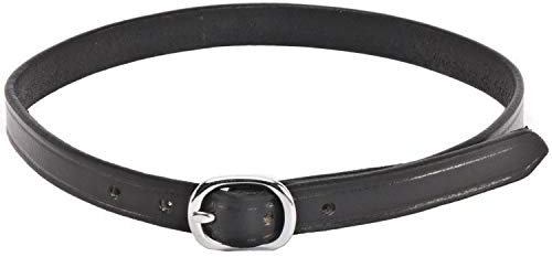 QHP Sporenriemen Basic Leder Lederriemen schwarz