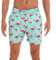 HLVEXH Herren Hawaiisch Strandshorts Badehose Schnelltrocknend Schwimmhosen mit Netzfutter Grün Rosa Flamingo 2XL