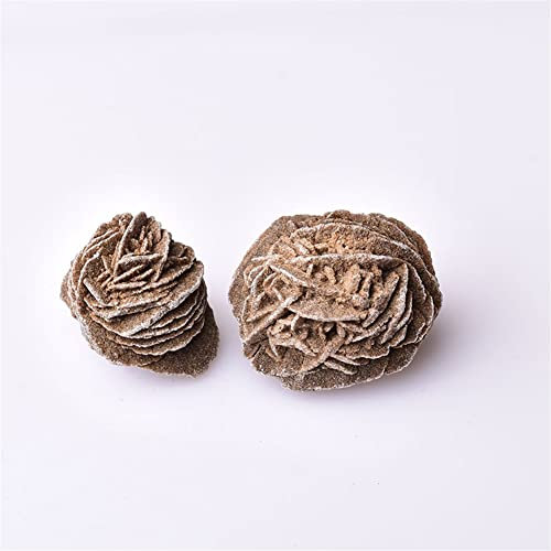 XUQULI Natürliche marokkanische Wüste Rose Raue Stein Mineral Probe Mineral Dekoration Wohneinrichtung Tolle Wahl für Häuserdekoration (Color : Chocolate, Size : 2pc)